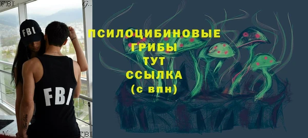 ГАЛЛЮЦИНОГЕННЫЕ ГРИБЫ Балахна