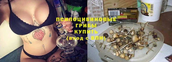 сатива Осташков