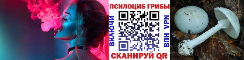 Псилоцибиновые грибы Psilocybine cubensis  сколько стоит  Облучье 